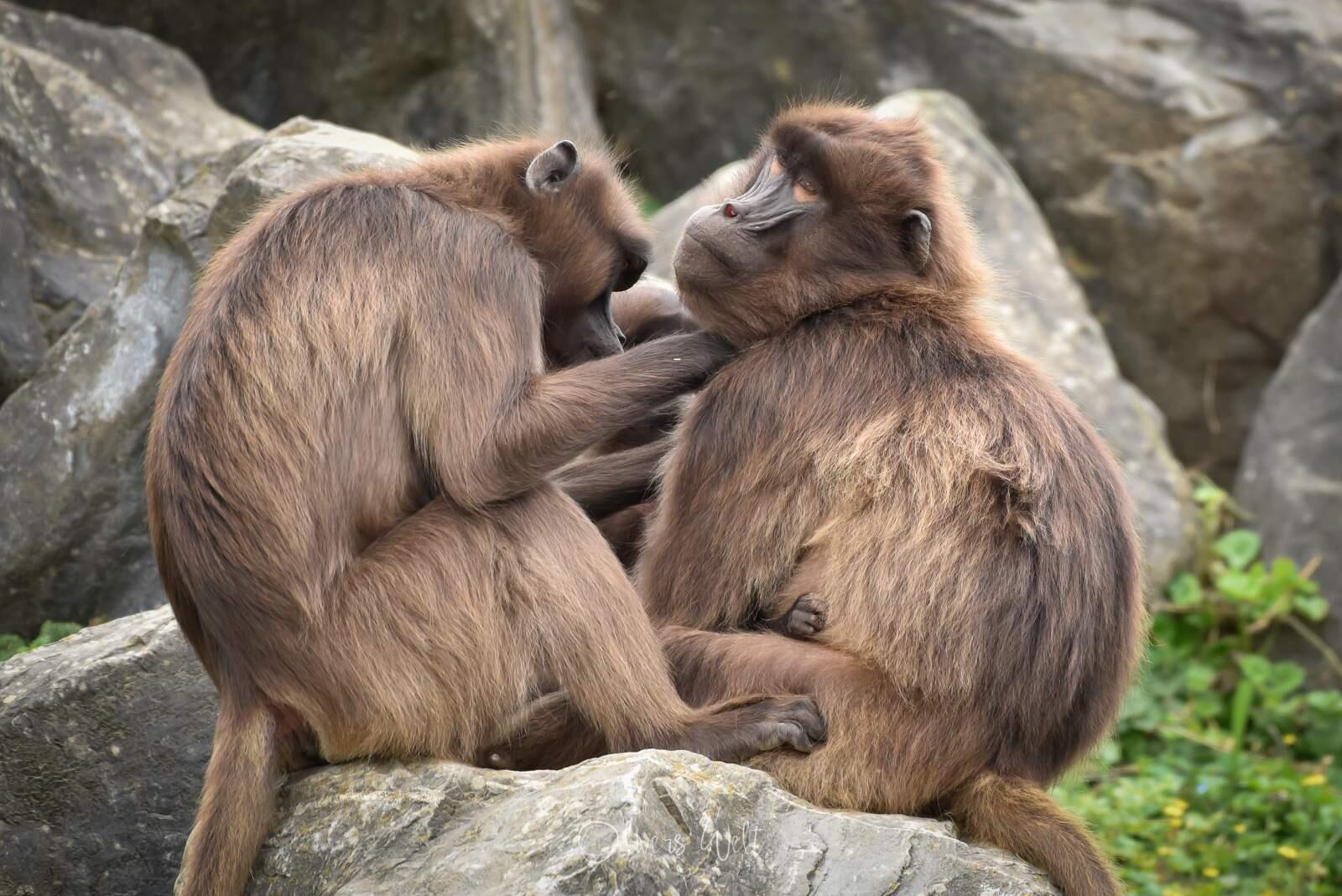 Bild ohne Beschreibung Bild ohne Beschreibung
