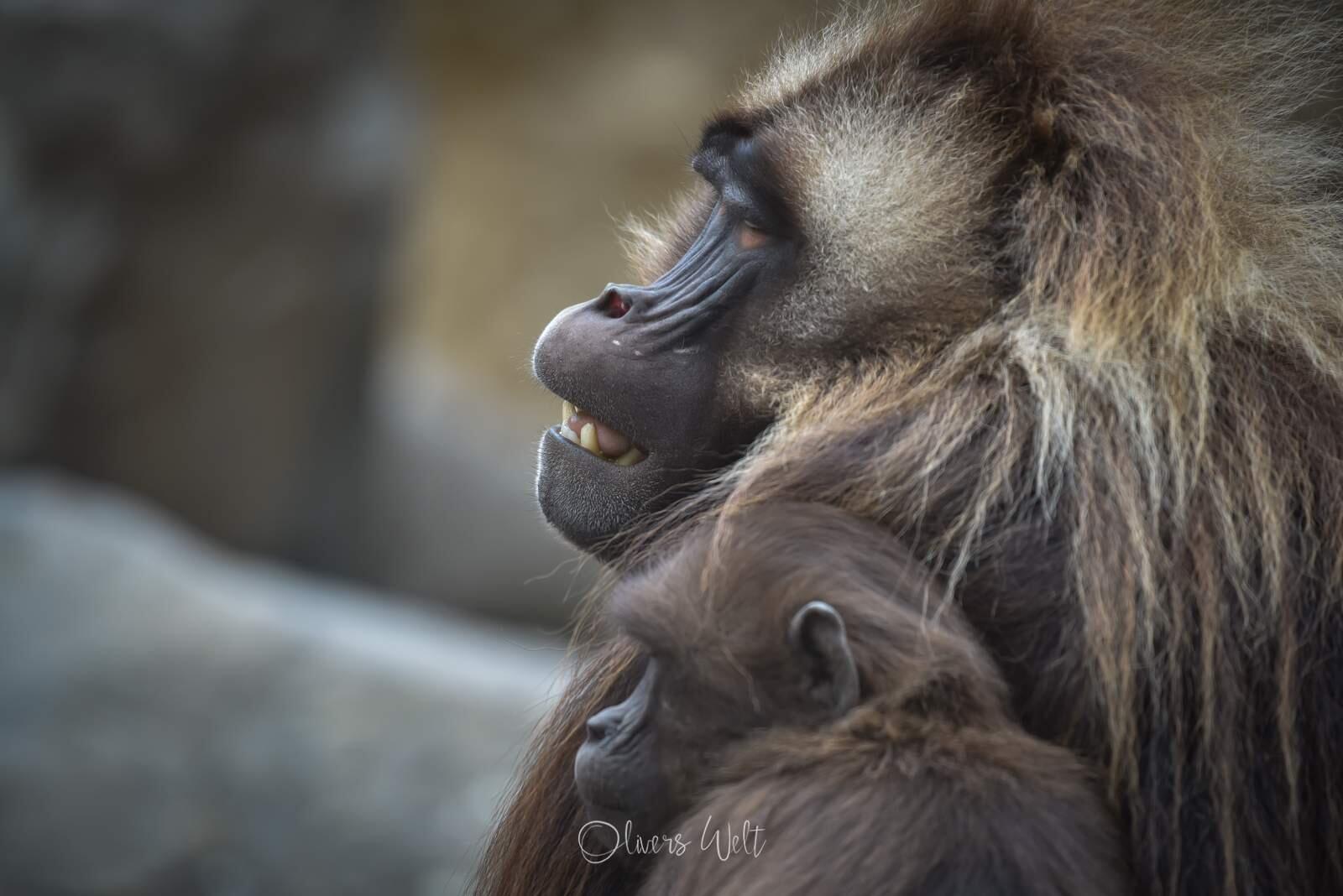 Bild ohne Beschreibung Bild ohne Beschreibung