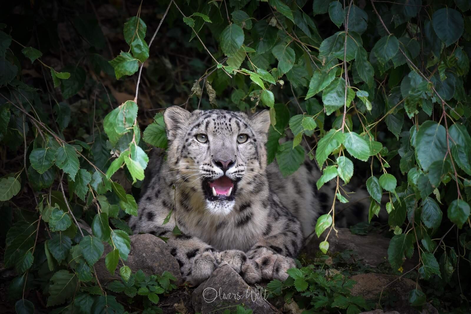 Bild ohne Beschreibung Bild ohne Beschreibung