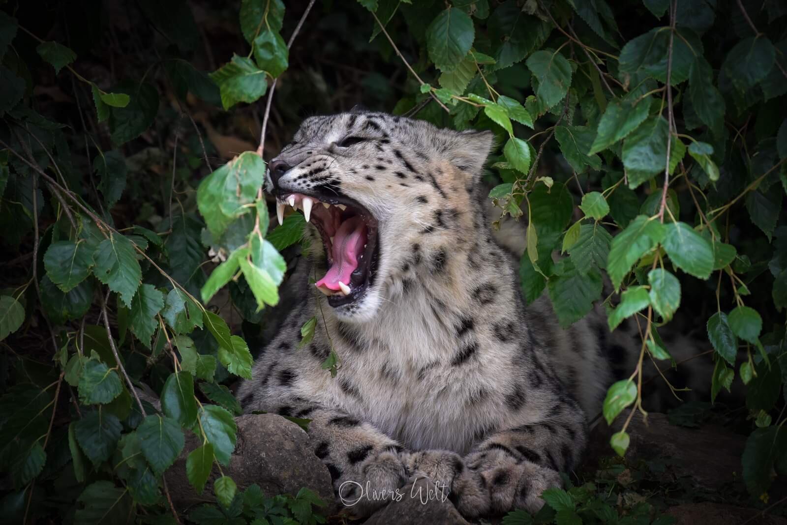 Bild ohne Beschreibung Bild ohne Beschreibung