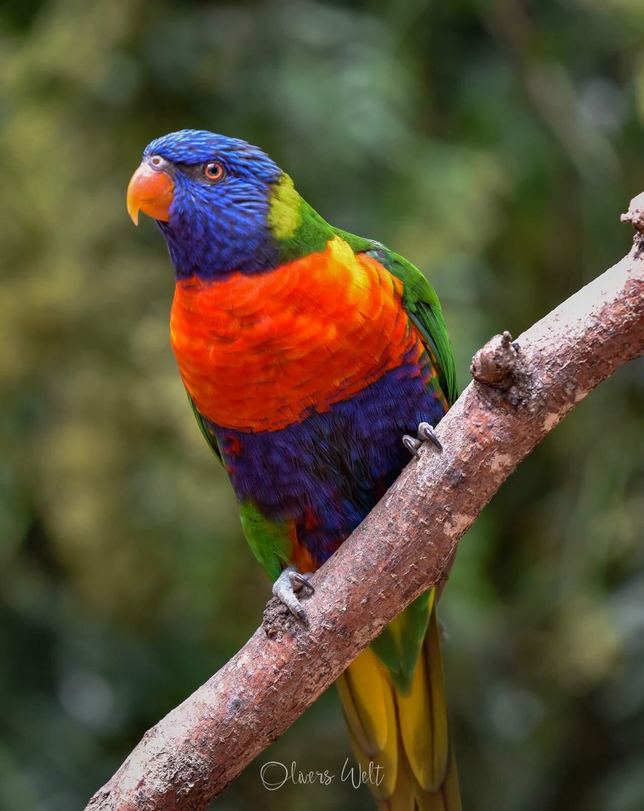 Bild ohne Beschreibung Bild ohne Beschreibung