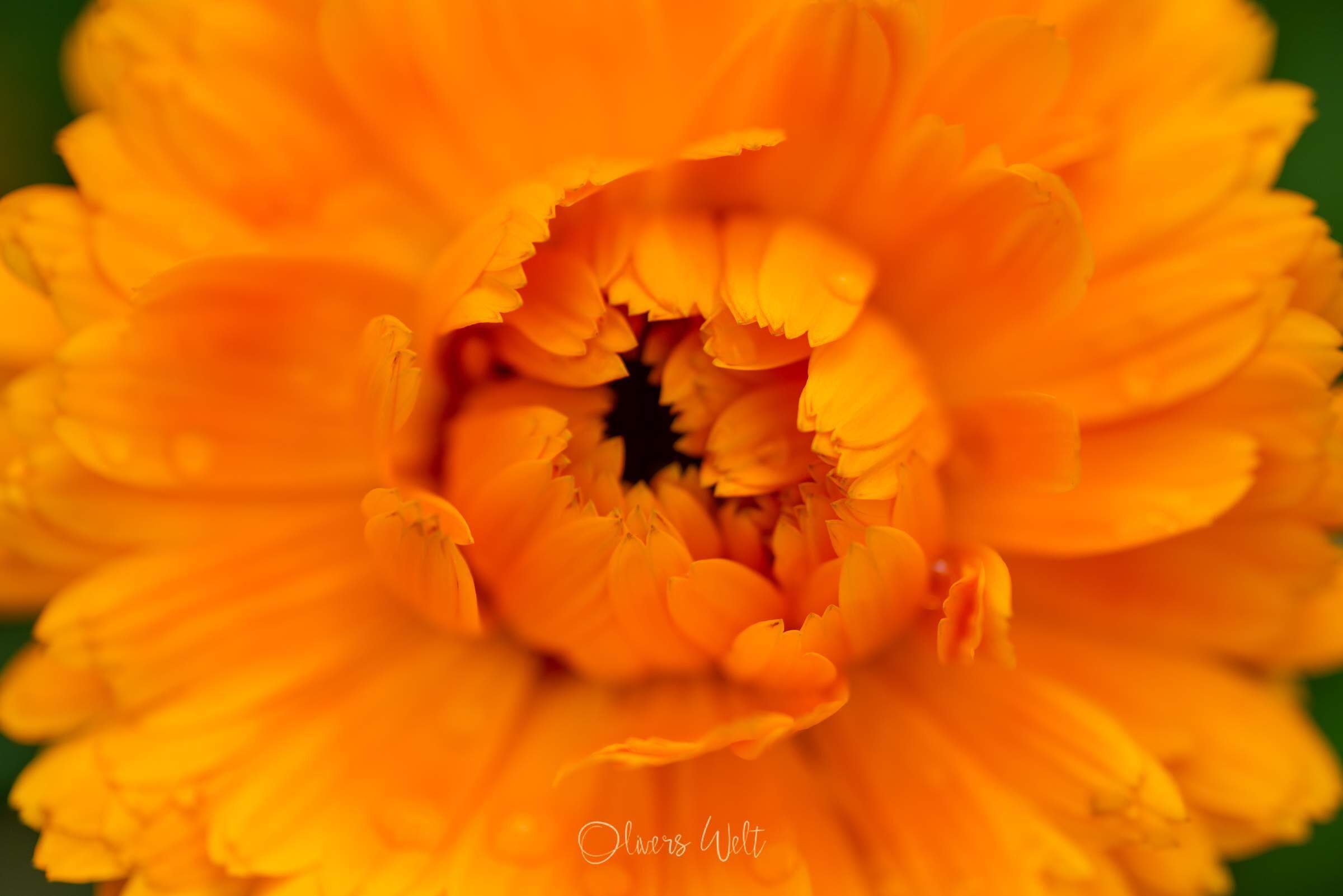 Bild ohne Beschreibung Bild ohne Beschreibung