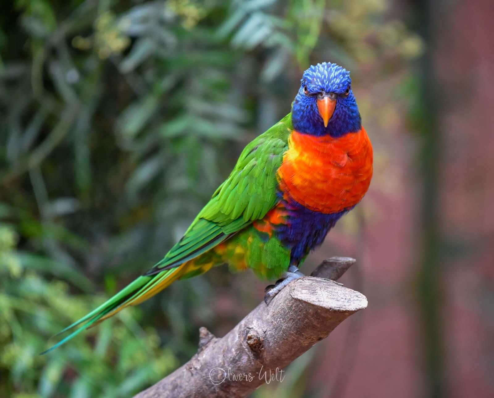 Bild ohne Beschreibung Bild ohne Beschreibung