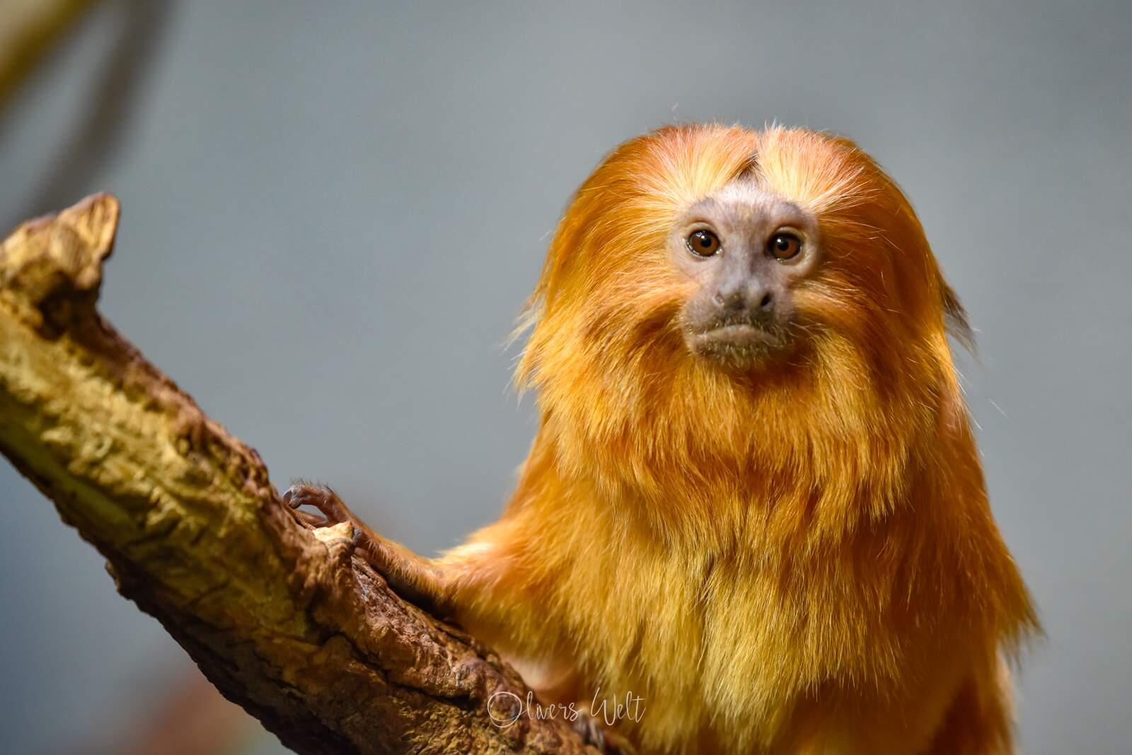 Bild ohne Beschreibung Bild ohne Beschreibung