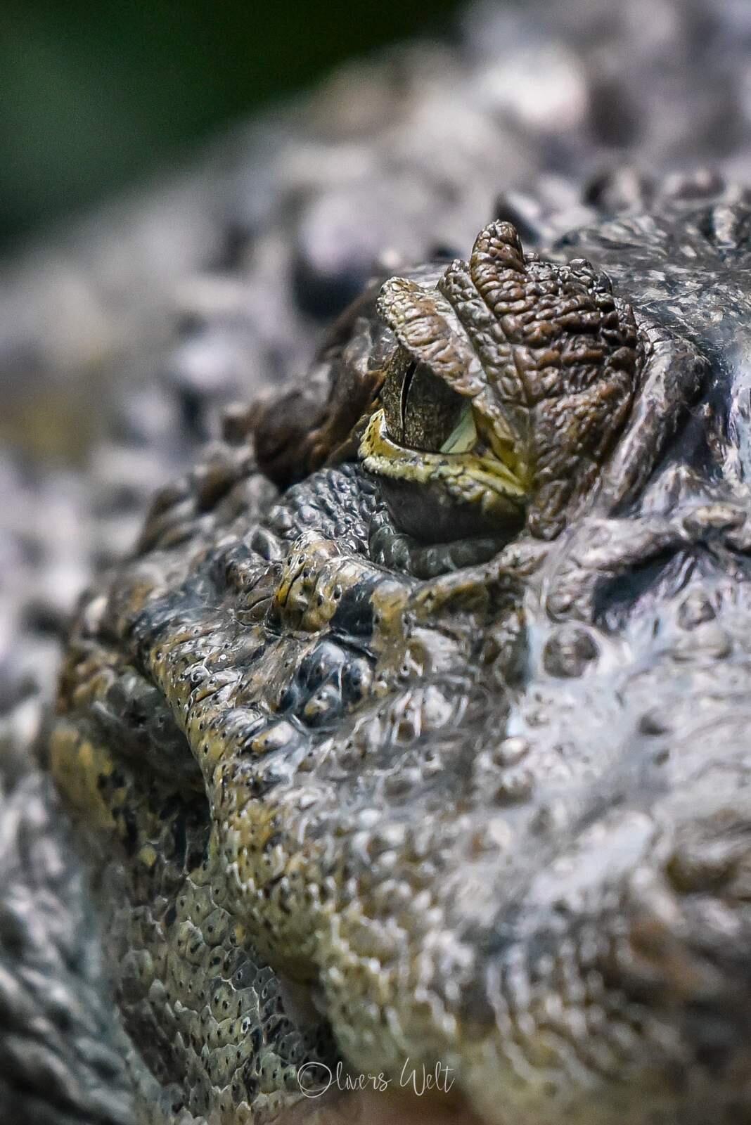 Bild ohne Beschreibung Bild ohne Beschreibung