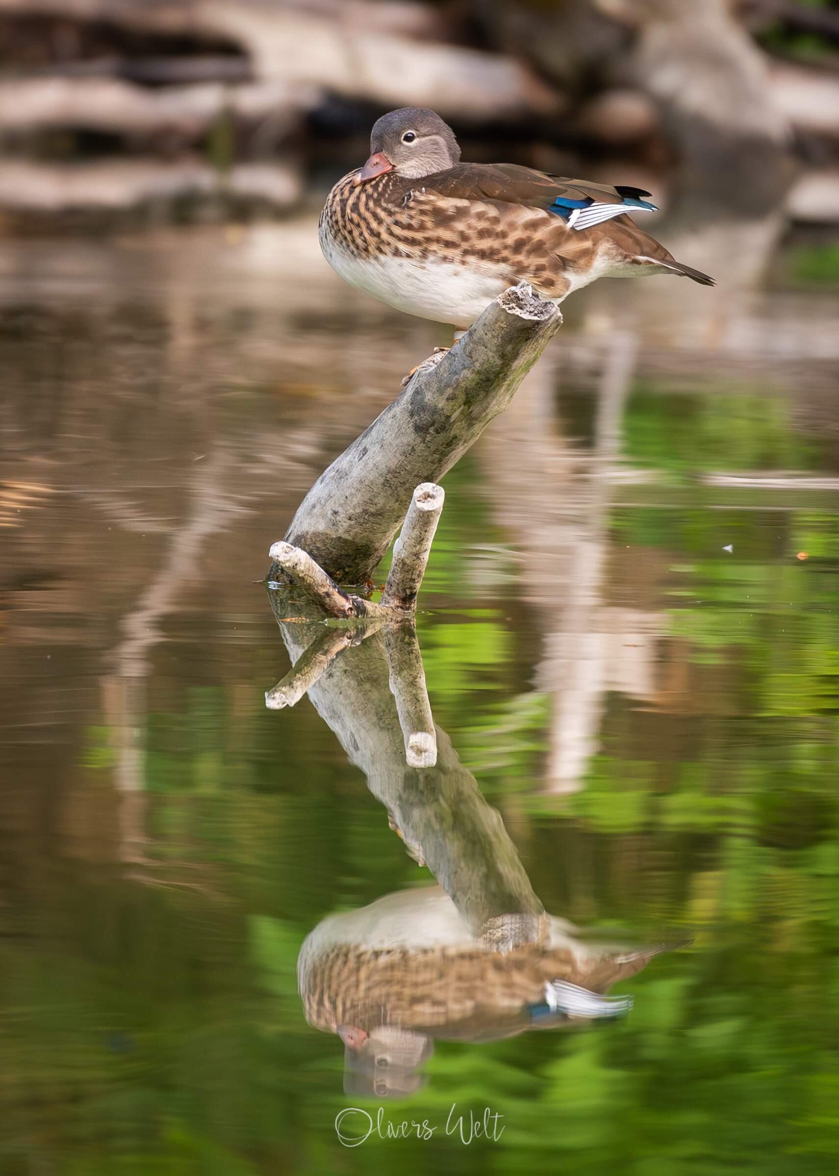 Bild ohne Beschreibung Bild ohne Beschreibung