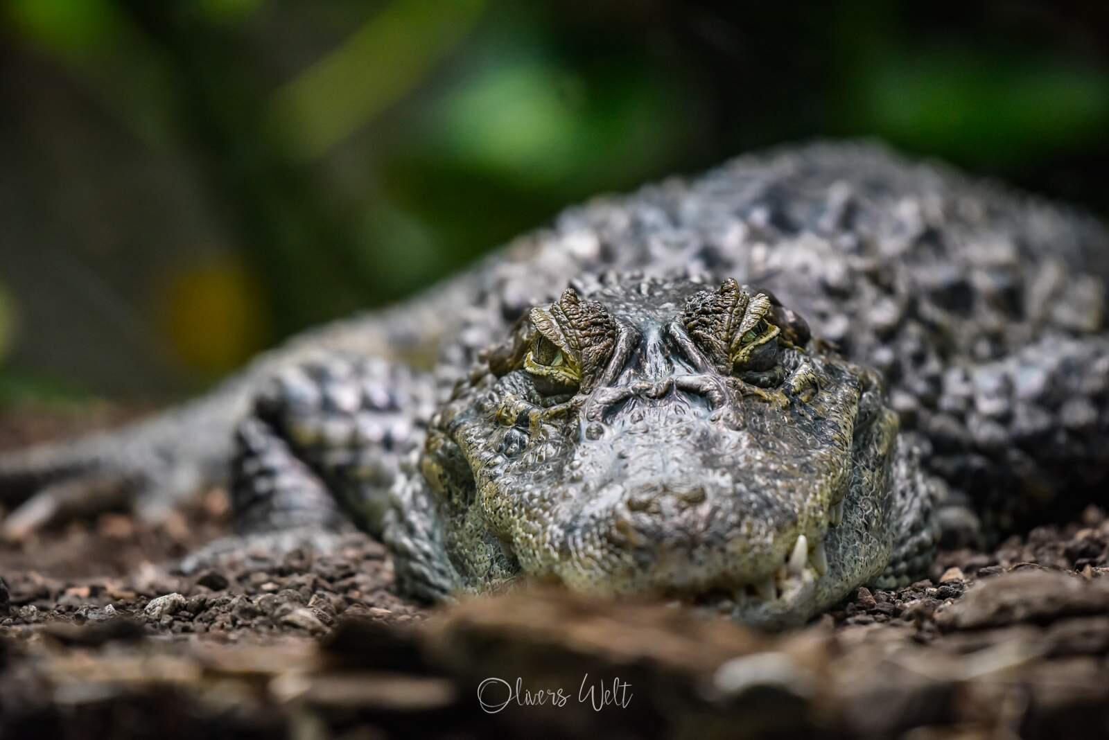Bild ohne Beschreibung Bild ohne Beschreibung