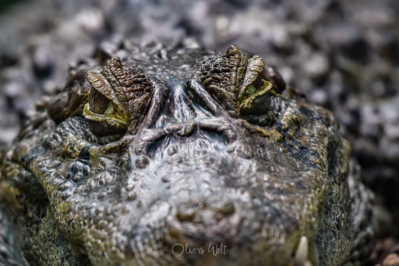 Bild ohne Beschreibung Bild ohne Beschreibung