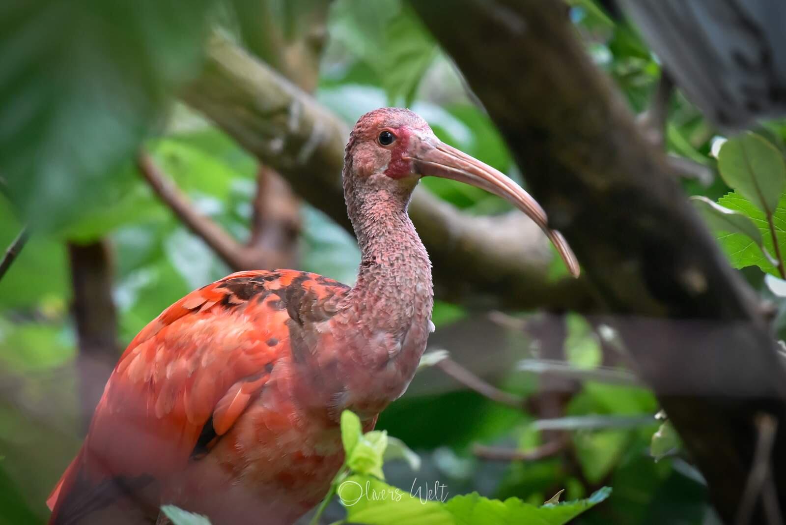 Bild ohne Beschreibung Bild ohne Beschreibung