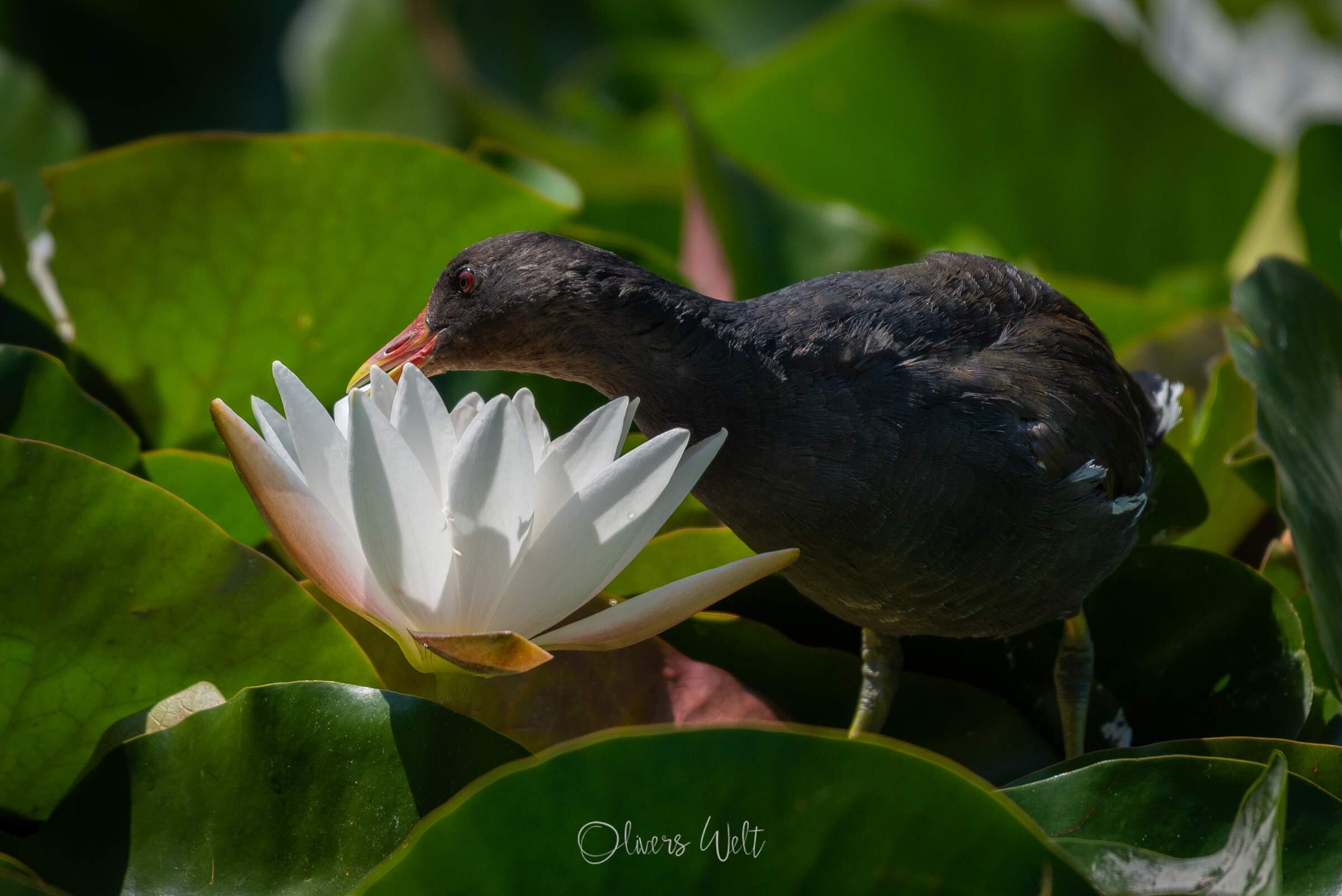 Bild ohne Beschreibung