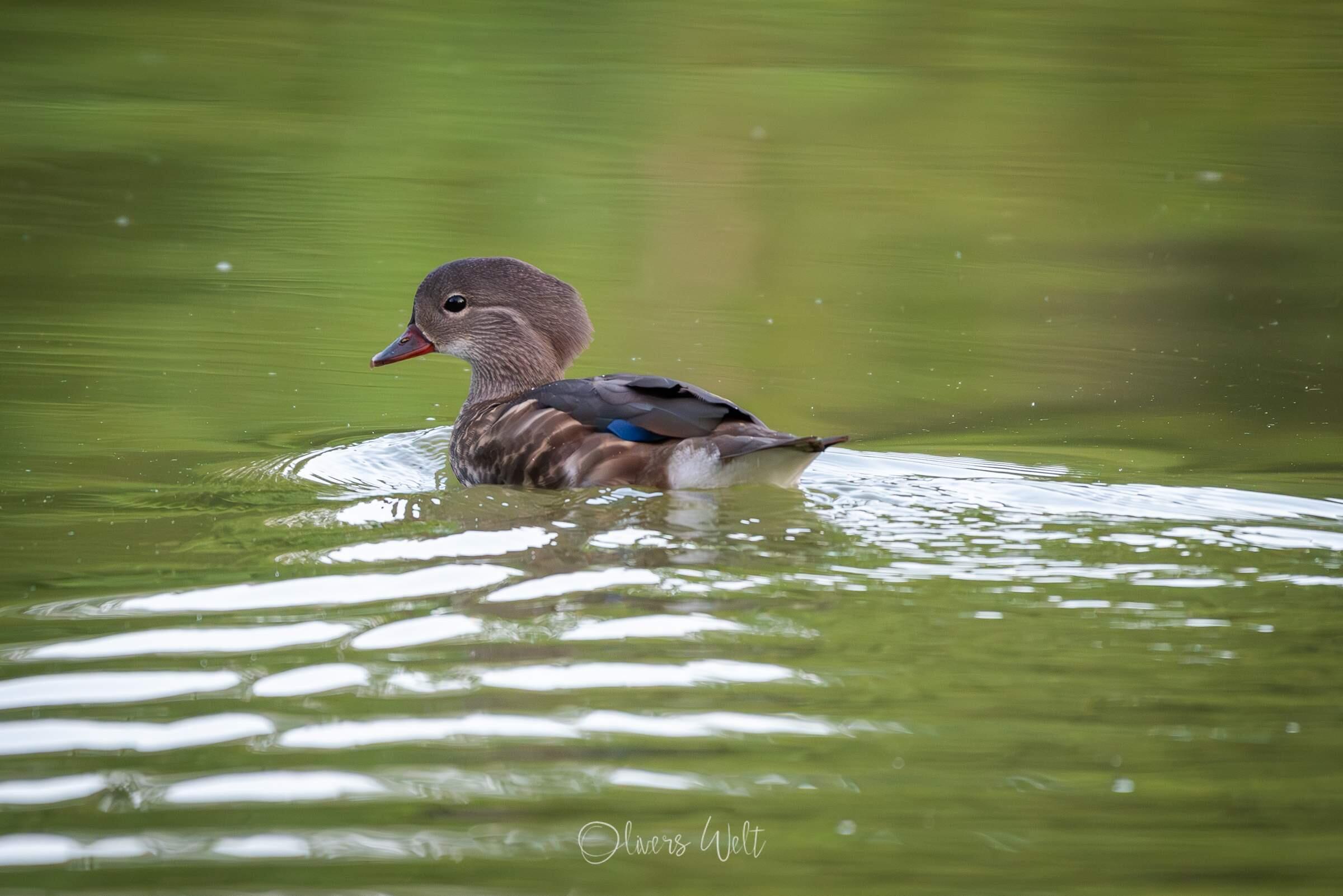 Bild ohne Beschreibung Bild ohne Beschreibung