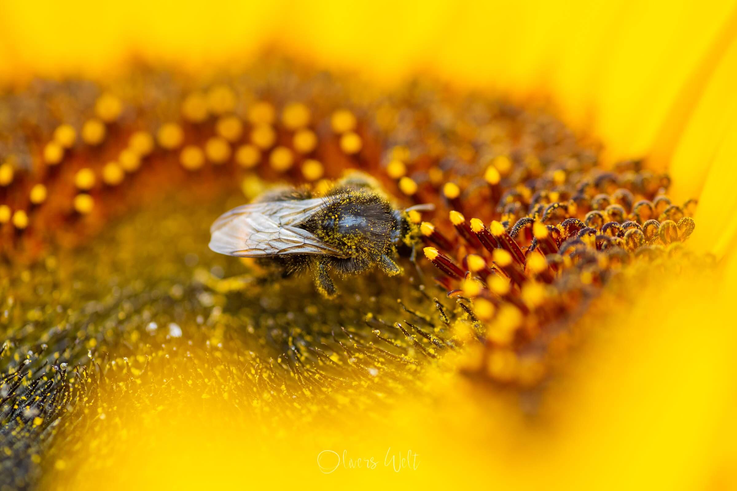 Bild ohne Beschreibung Bild ohne Beschreibung