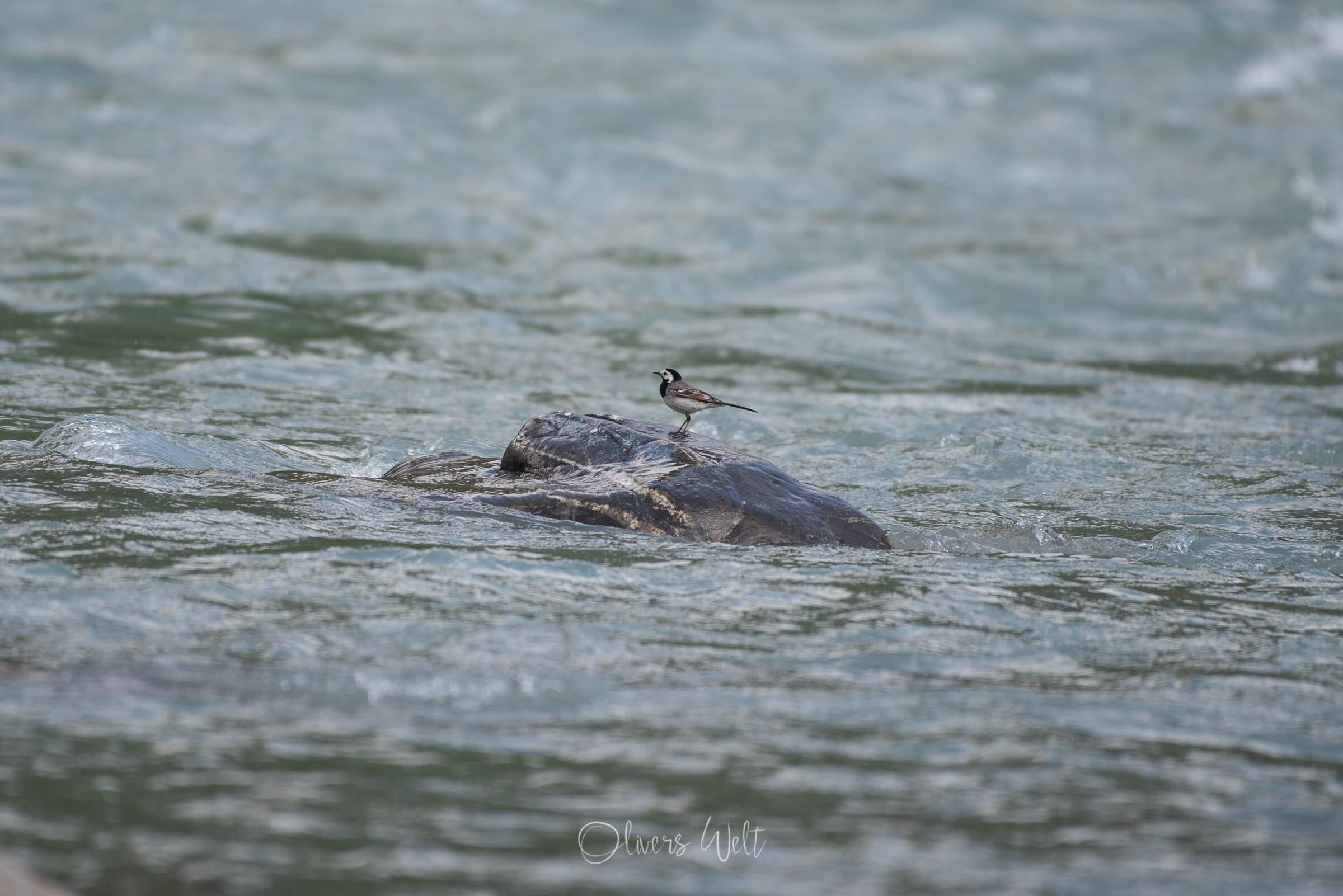 Bild ohne Beschreibung
