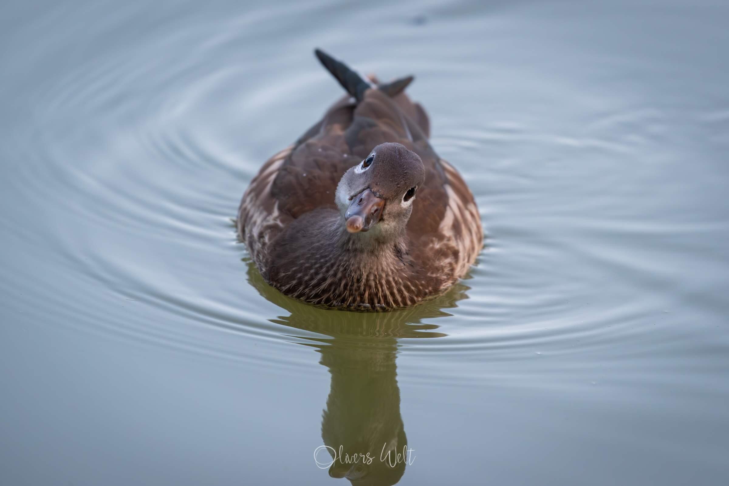 Bild ohne Beschreibung Bild ohne Beschreibung