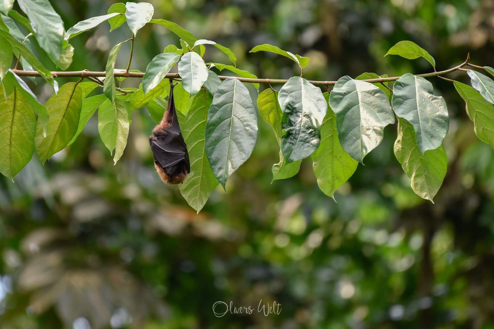 Bild ohne Beschreibung Bild ohne Beschreibung