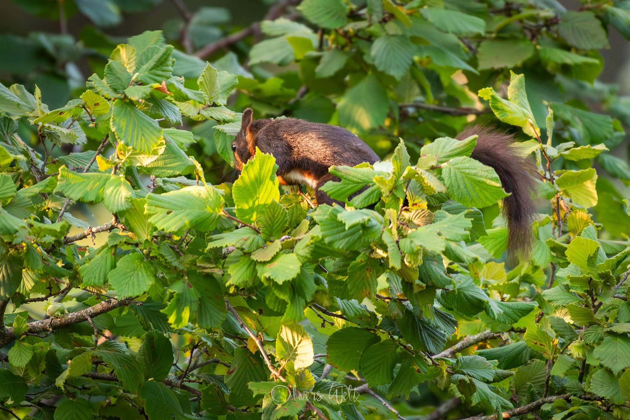 Bild ohne Beschreibung Bild ohne Beschreibung