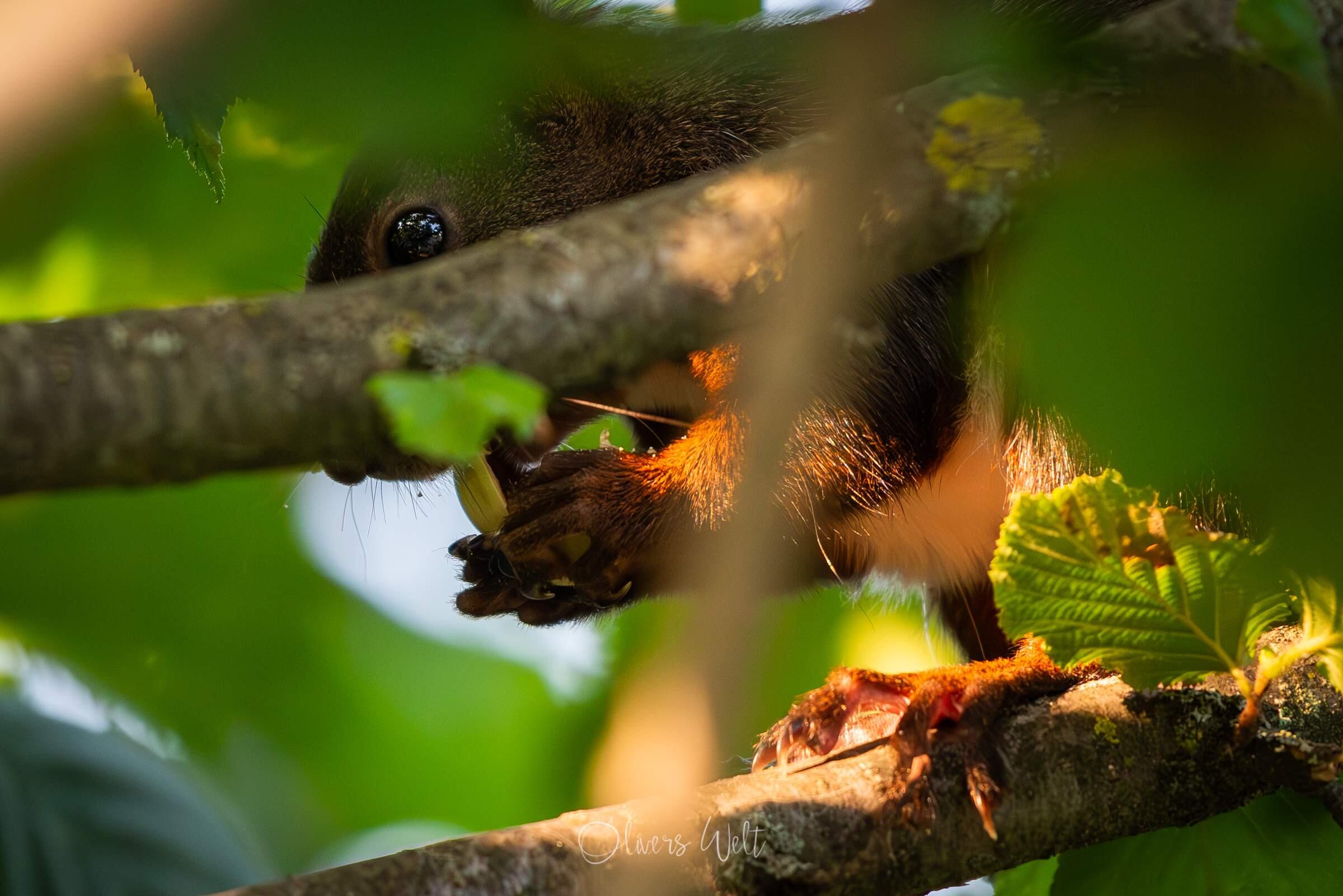 Bild ohne Beschreibung Bild ohne Beschreibung