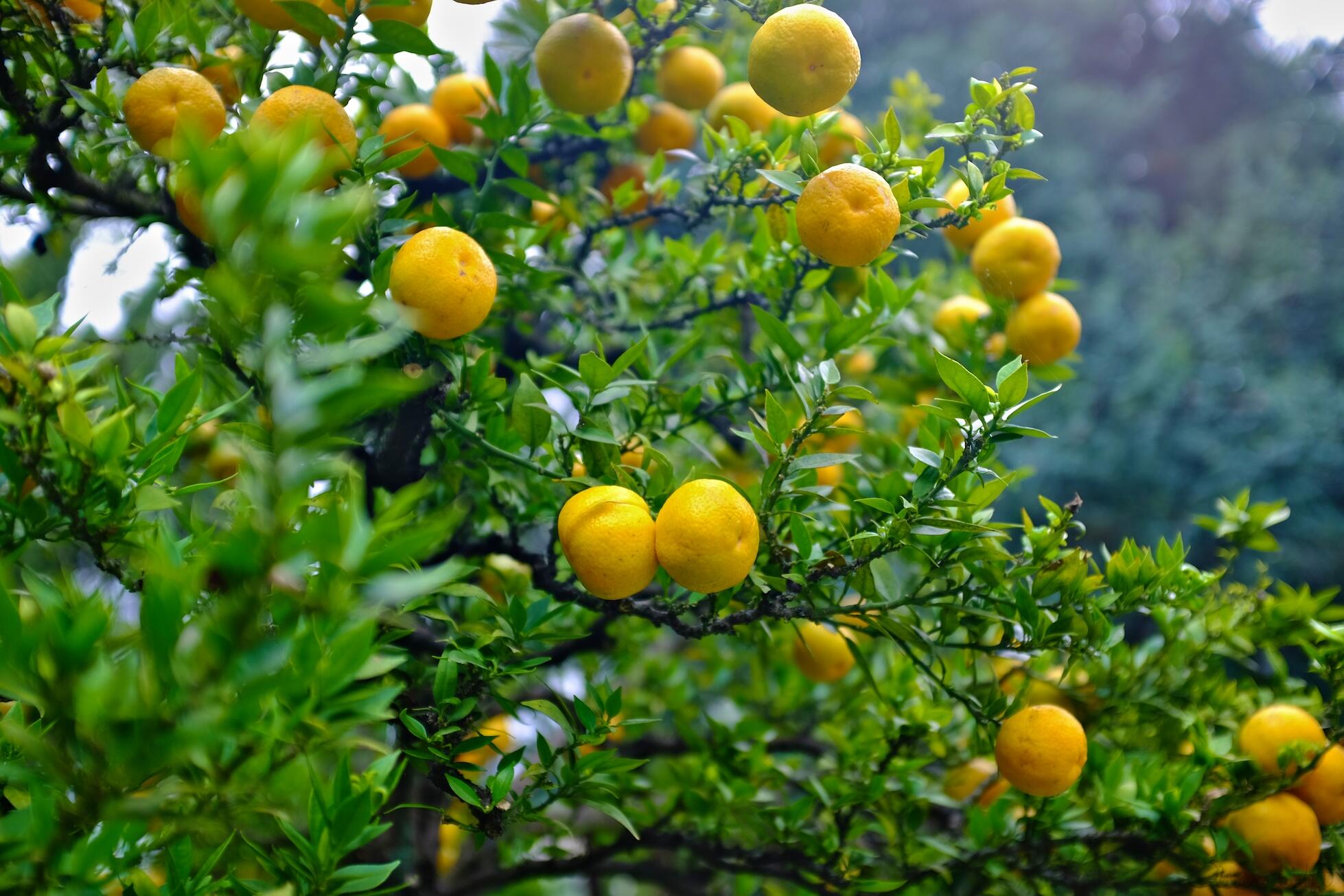 Bild ohne Beschreibung Bild ohne Beschreibung