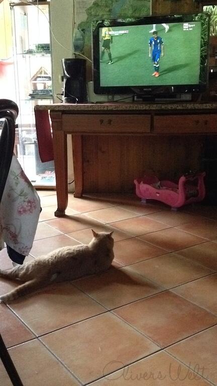 Bild ohne Beschreibung Bild ohne Beschreibung