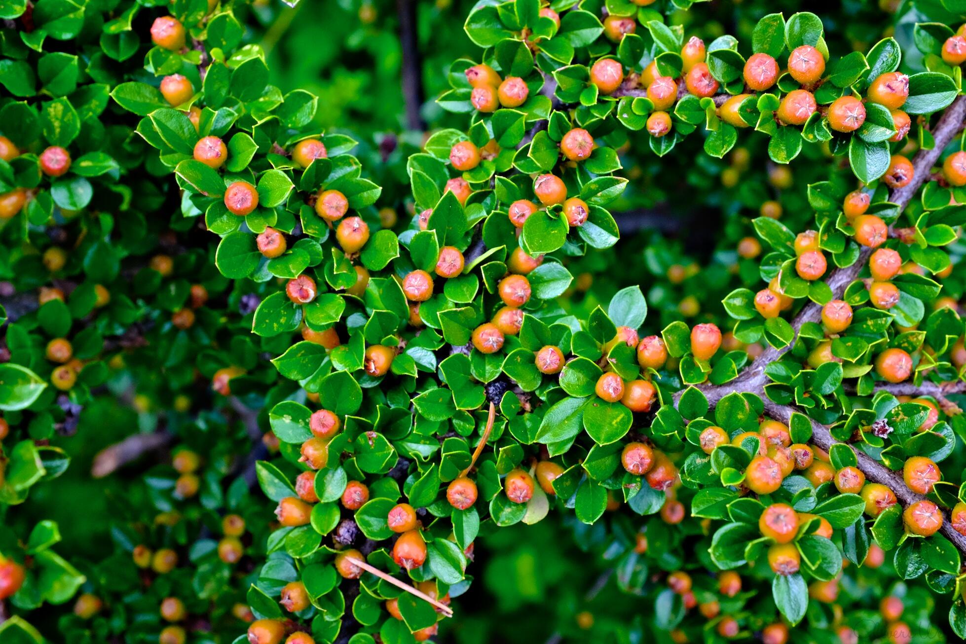 Bild ohne Beschreibung Bild ohne Beschreibung
