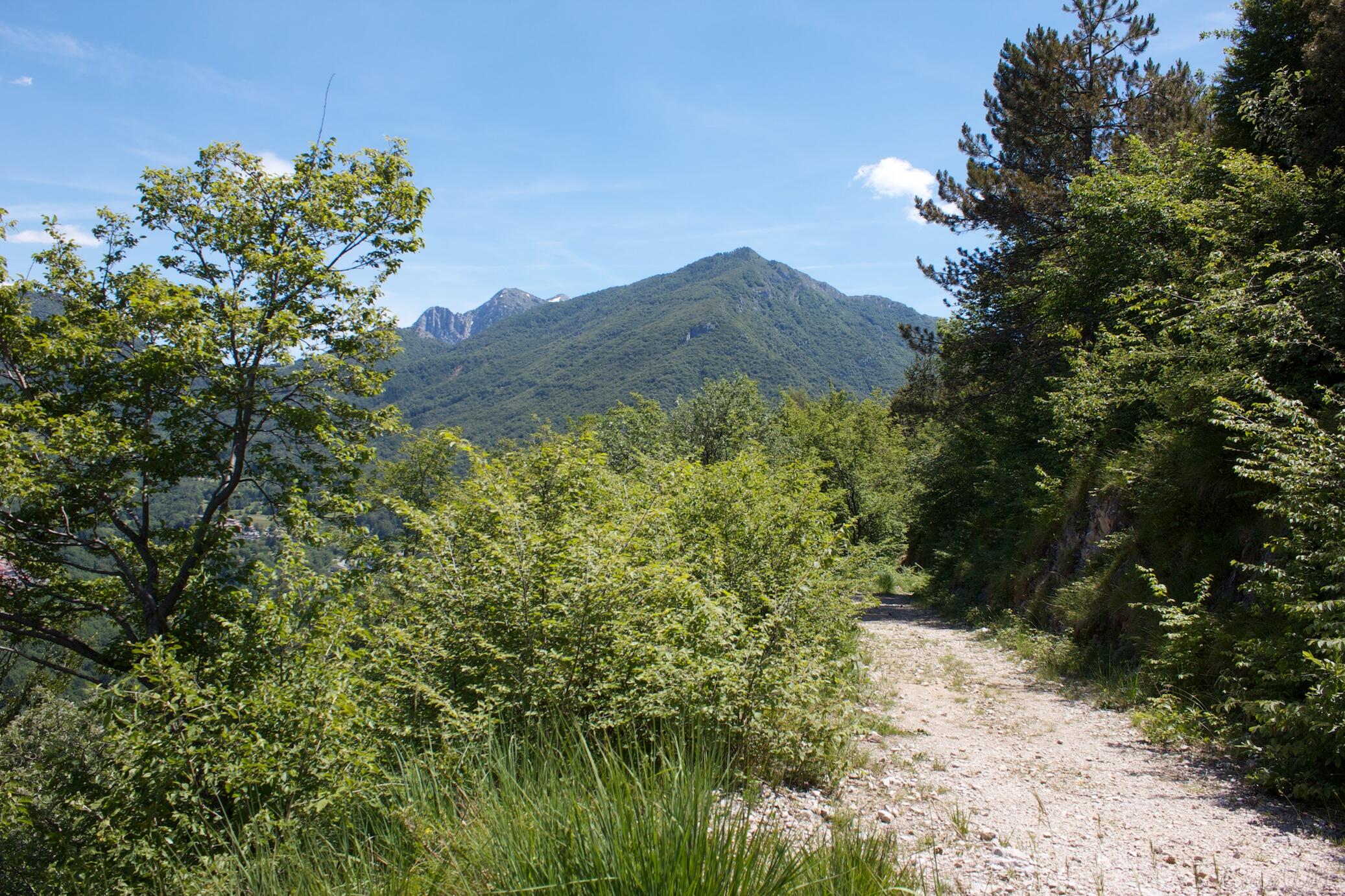 Bild ohne Beschreibung Bild ohne Beschreibung