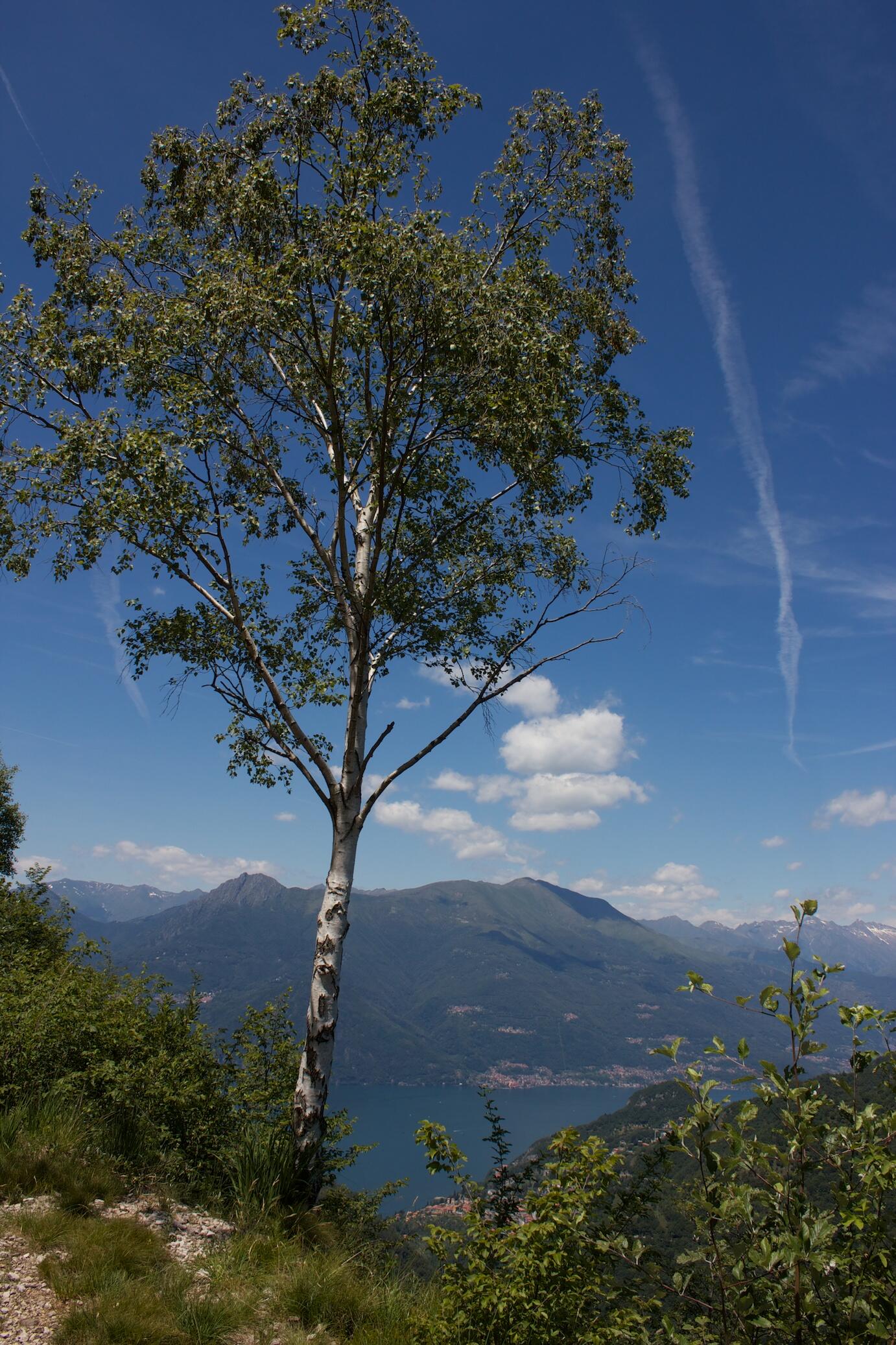 Bild ohne Beschreibung Bild ohne Beschreibung