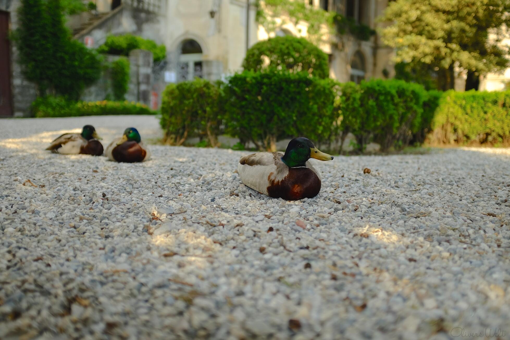 Bild ohne Beschreibung Bild ohne Beschreibung