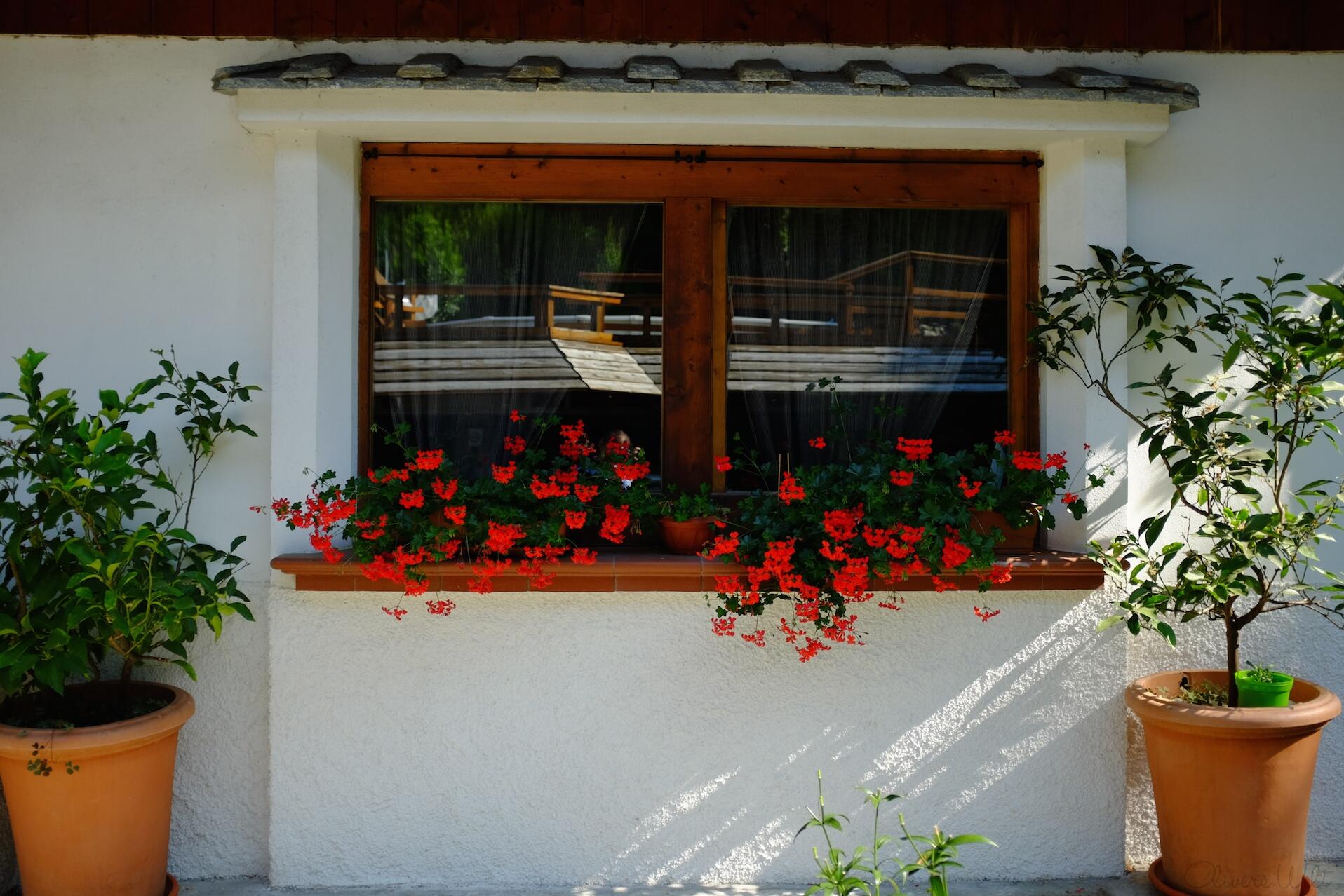 Bild ohne Beschreibung Bild ohne Beschreibung