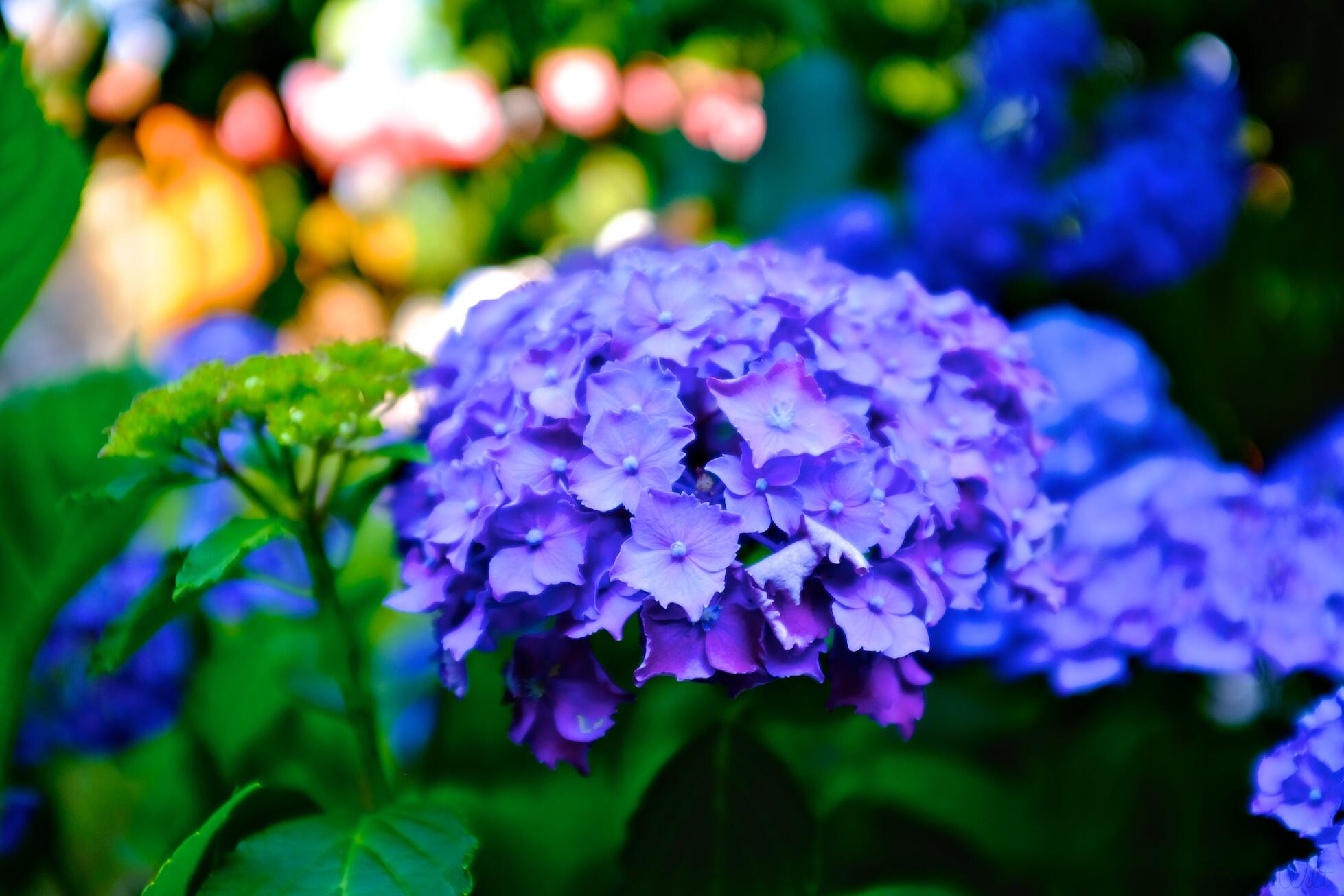 Bild ohne Beschreibung Bild ohne Beschreibung