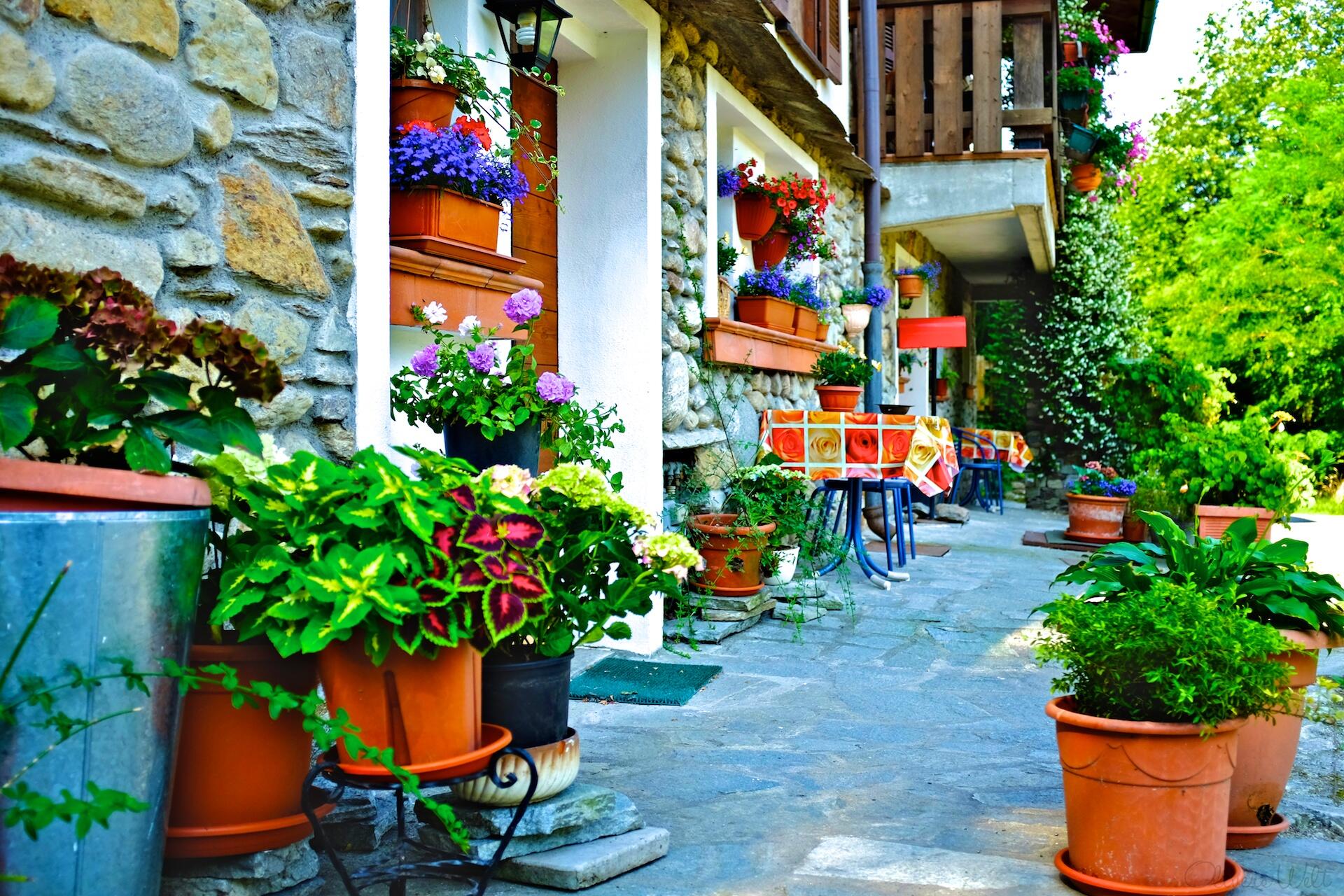 Bild ohne Beschreibung Bild ohne Beschreibung