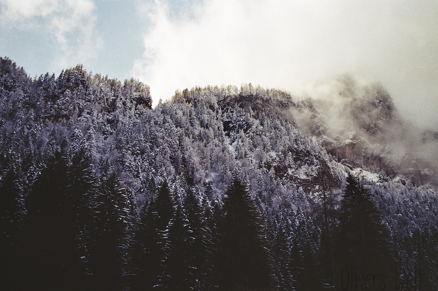 Konica-Hexar-AF-35mm 1 Konica-Hexar-AF-35mm 1