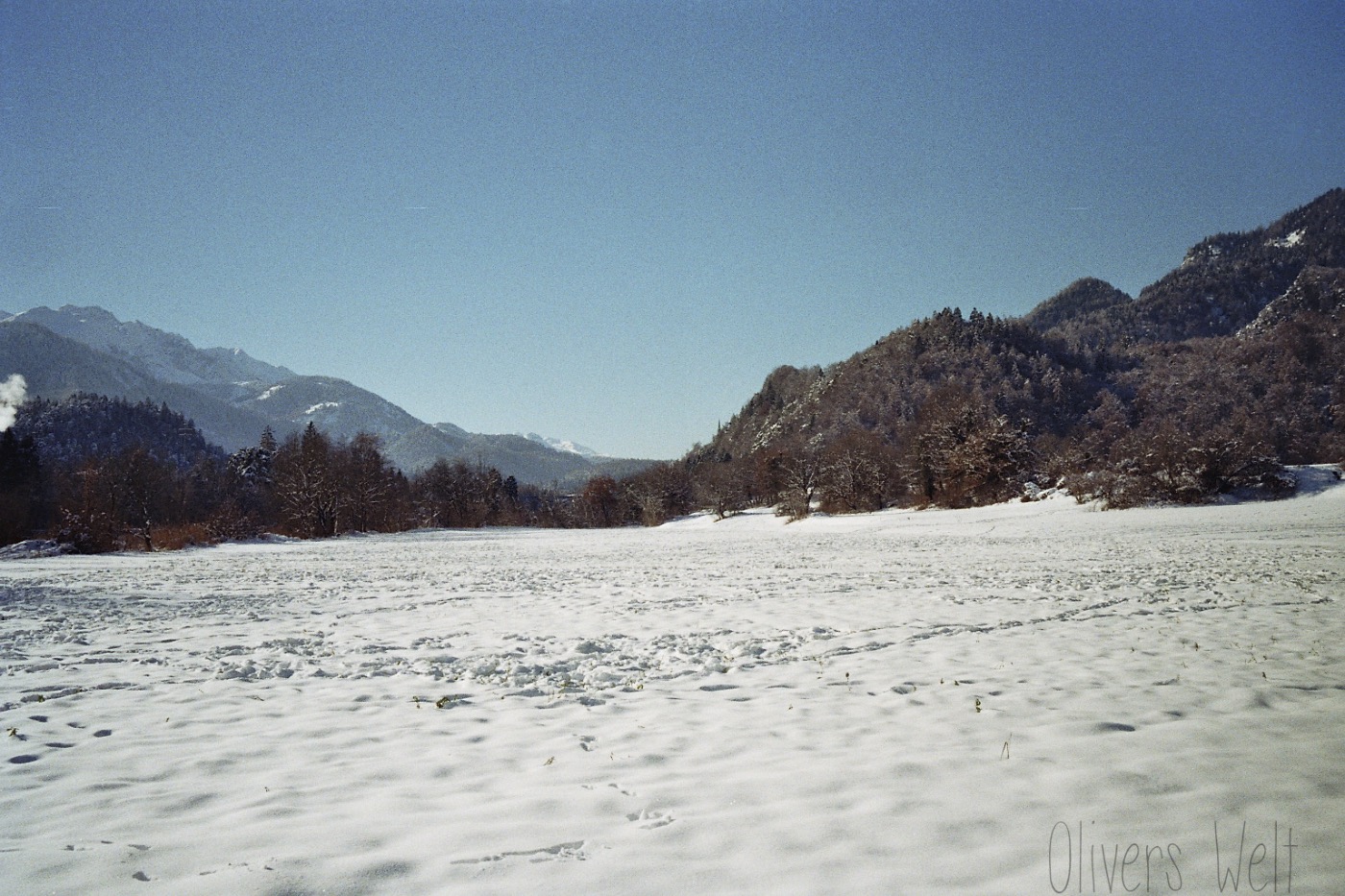 Konica-Hexar-AF-35mm 3