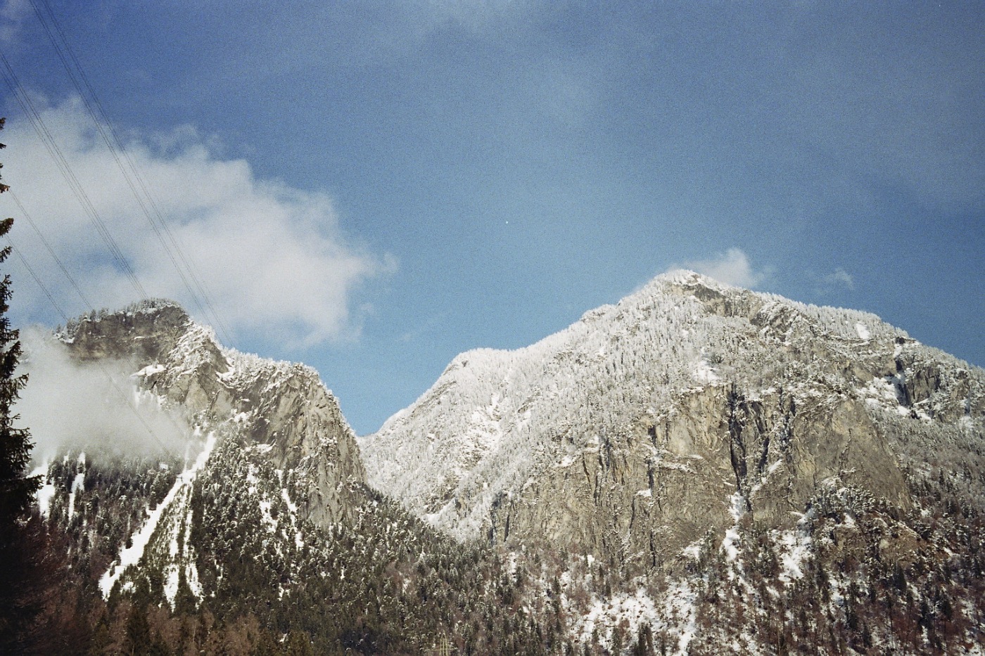 Konica-Hexar-AF-35mm 4