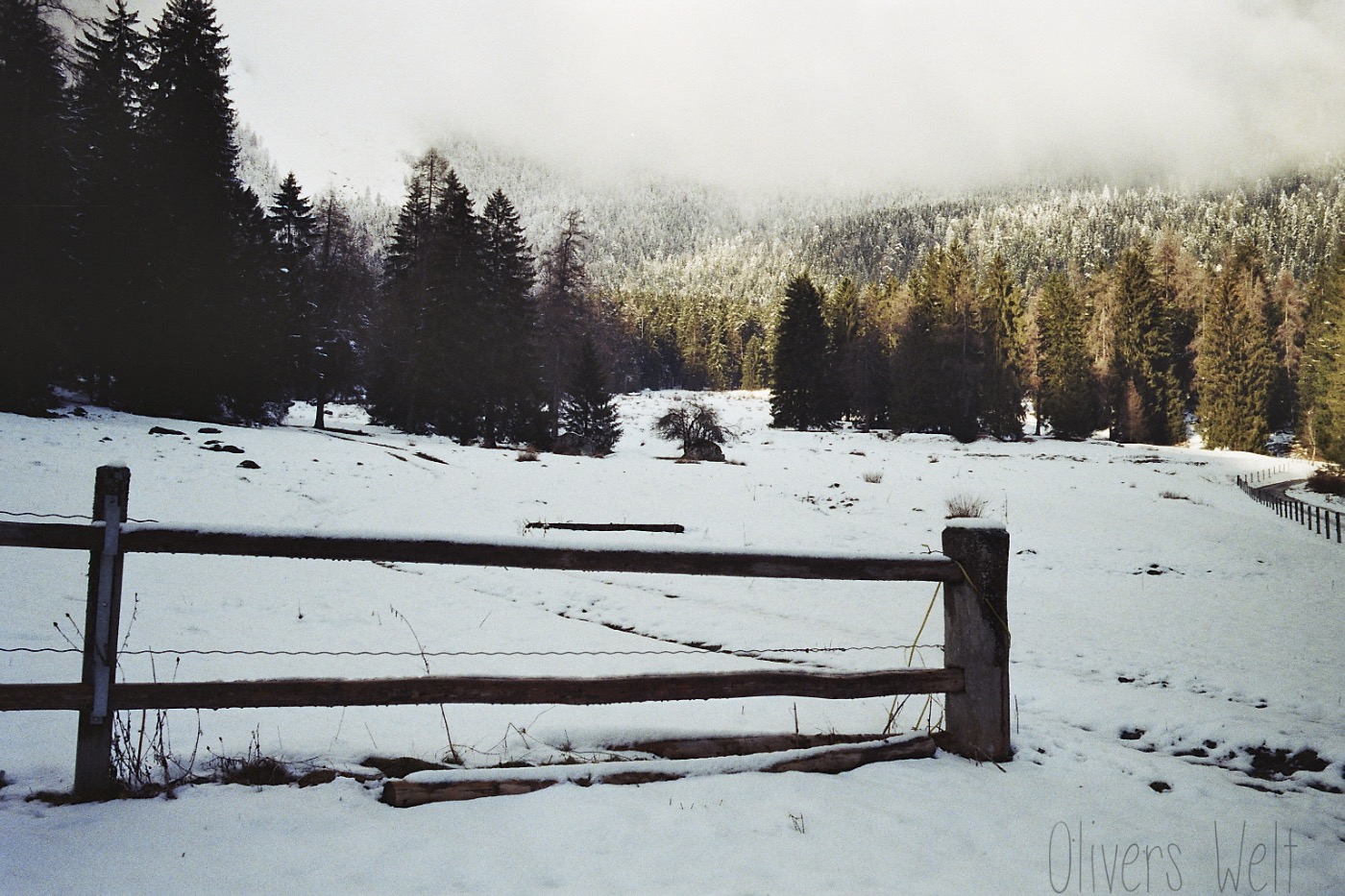 Konica-Hexar-AF-35mm 5 Konica-Hexar-AF-35mm 5