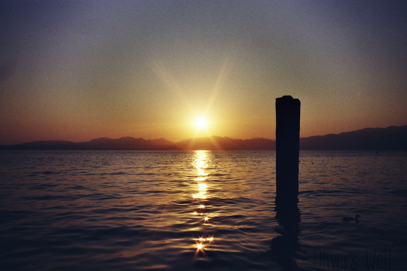 Konica-Hexar-AF-35mm-f2-Gardasee 2 Konica-Hexar-AF-35mm-f2-Gardasee 2