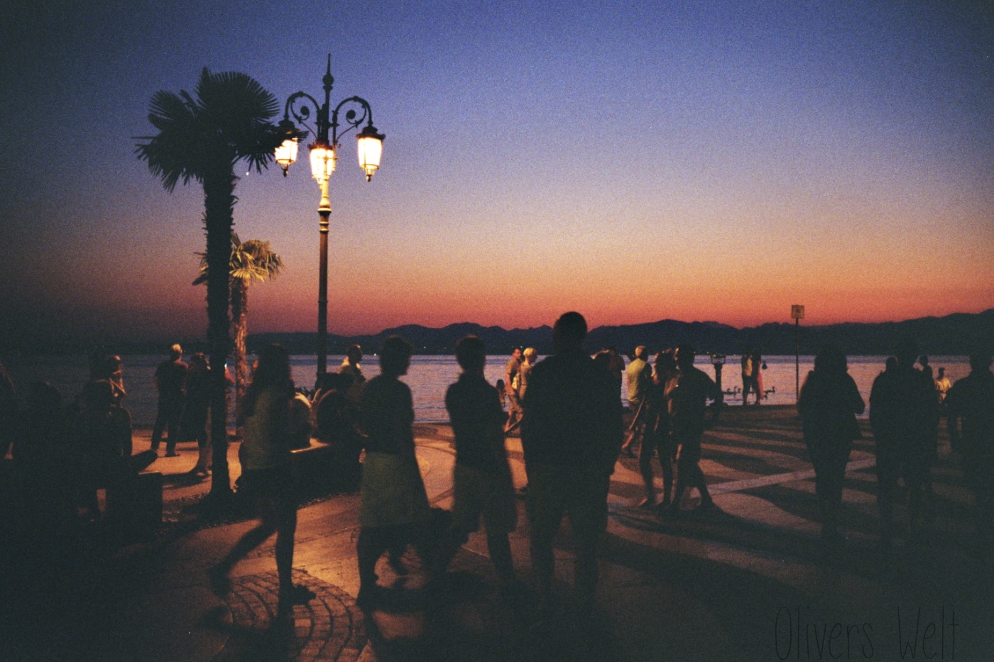 Konica-Hexar-AF-35mm-f2-Gardasee 3