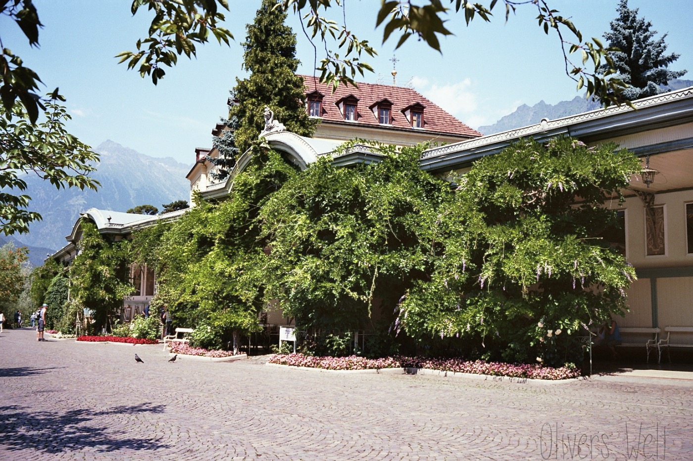 Bild ohne Beschreibung Bild ohne Beschreibung