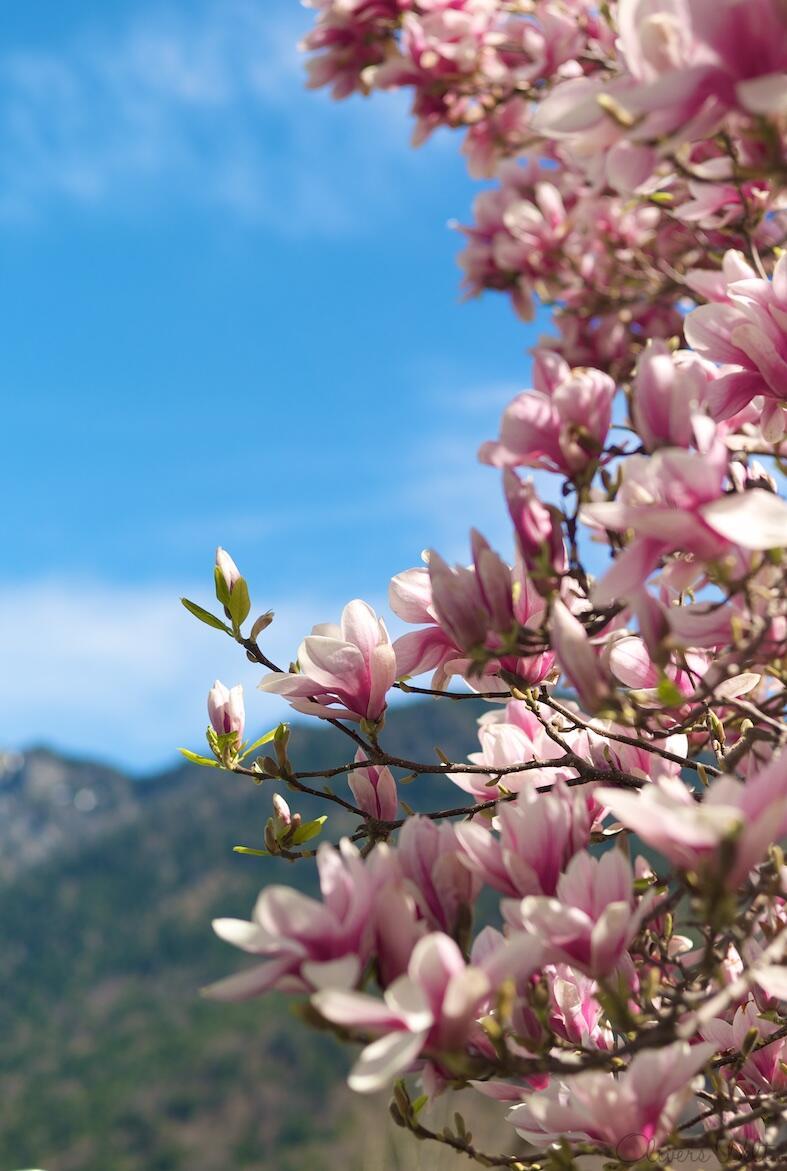 Bild ohne Beschreibung Bild ohne Beschreibung