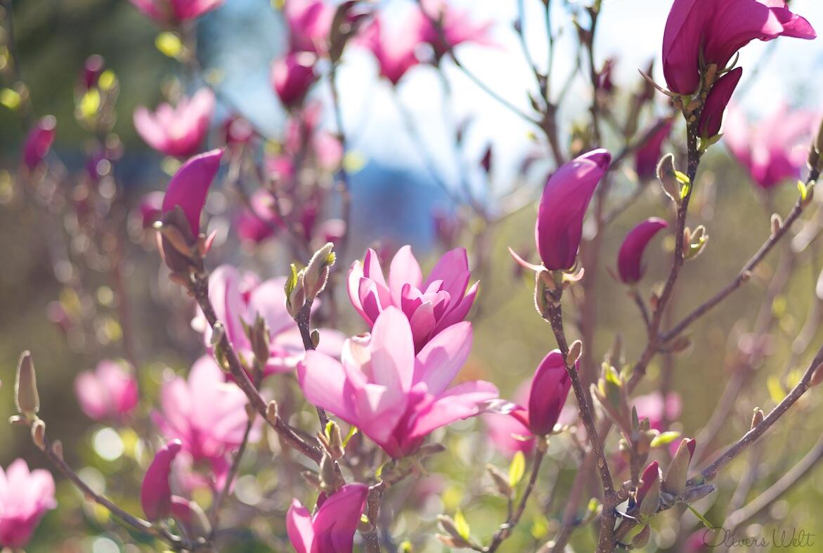 Bild ohne Beschreibung Bild ohne Beschreibung