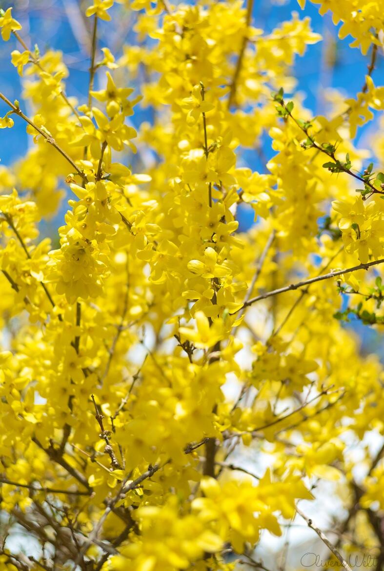 Bild ohne Beschreibung Bild ohne Beschreibung