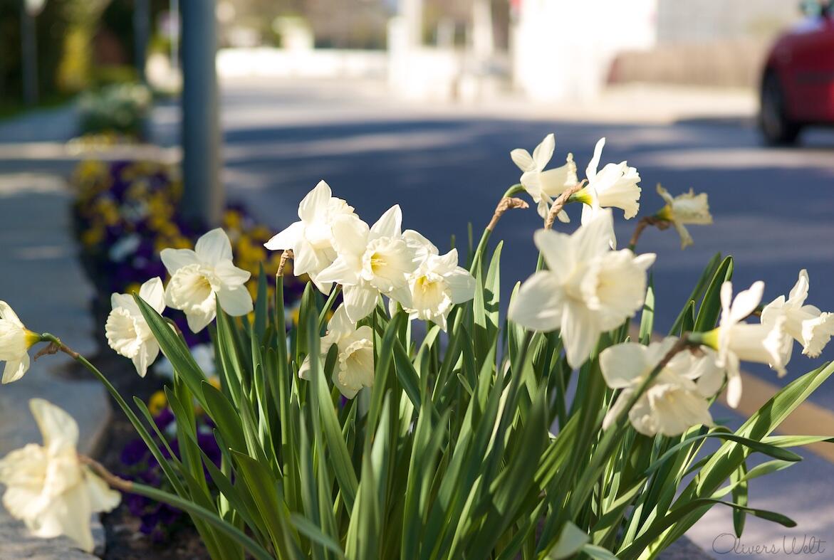 Bild ohne Beschreibung Bild ohne Beschreibung