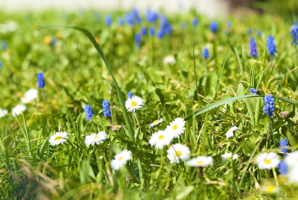 Bild ohne Beschreibung Bild ohne Beschreibung