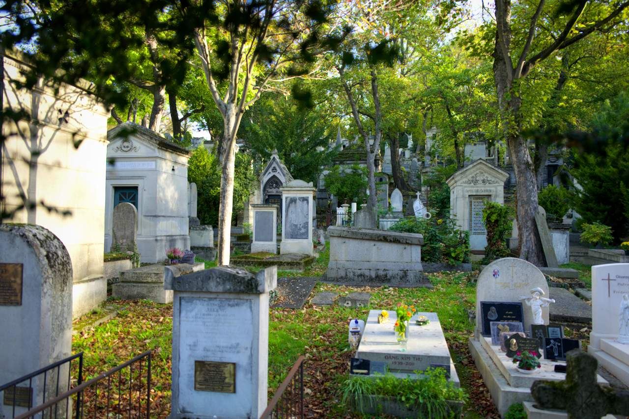 Bild ohne Beschreibung