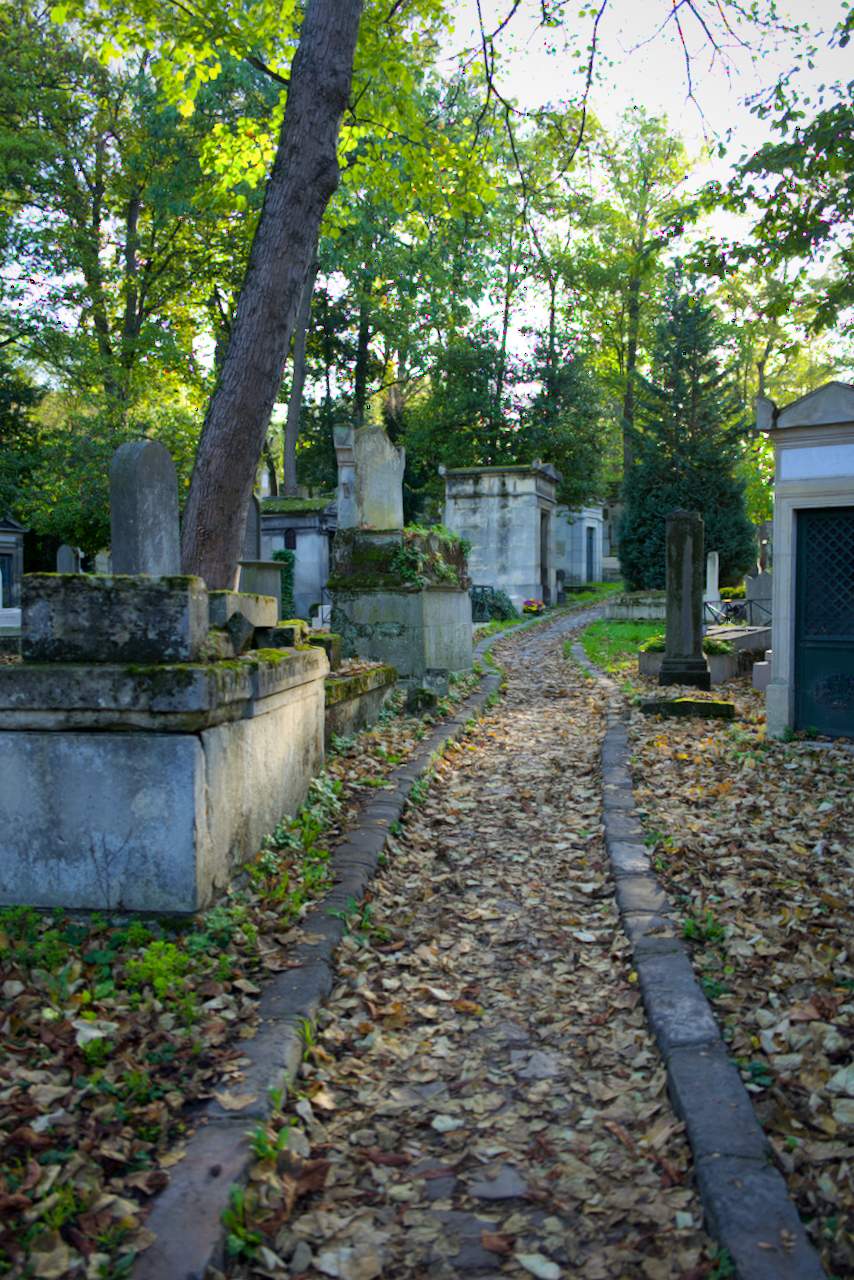 Bild ohne Beschreibung