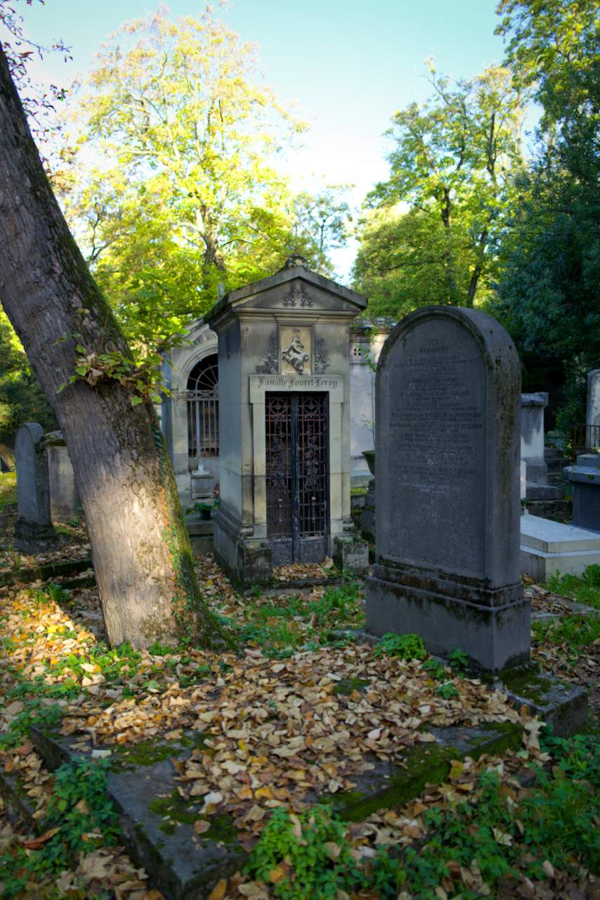 Bild ohne Beschreibung