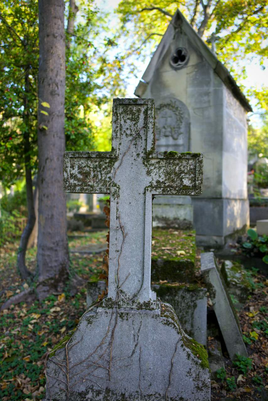 Bild ohne Beschreibung