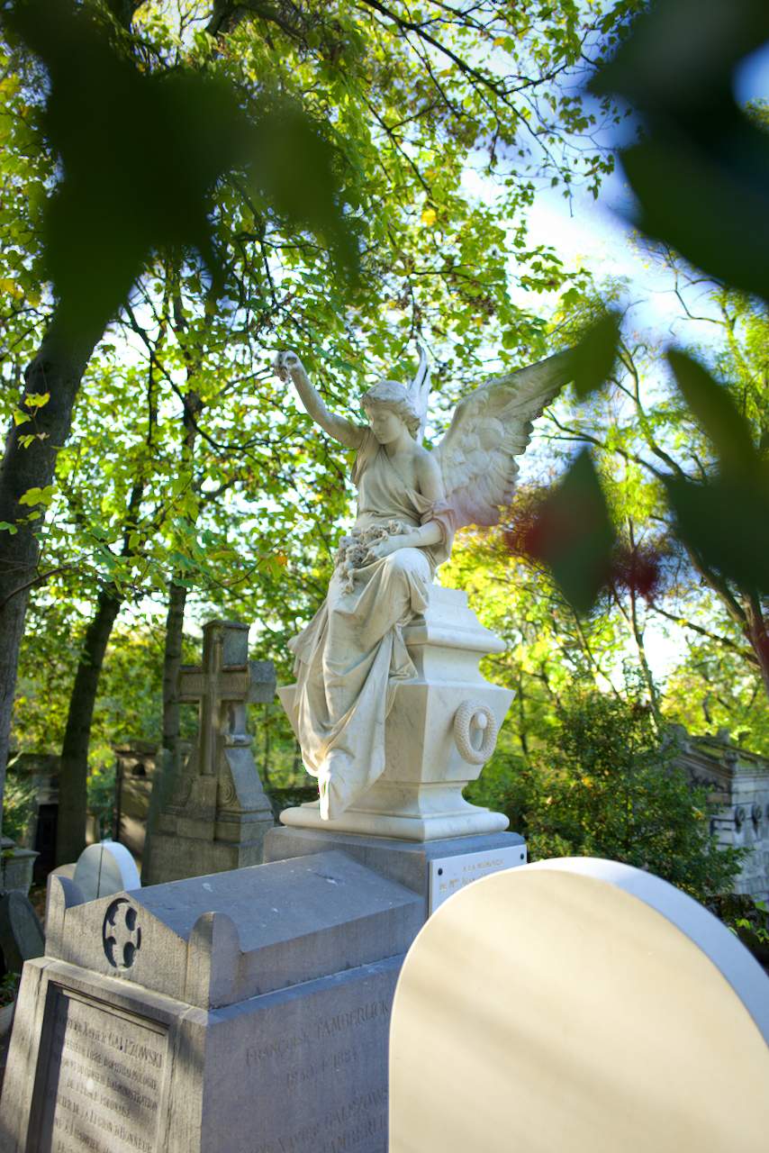 Bild ohne Beschreibung