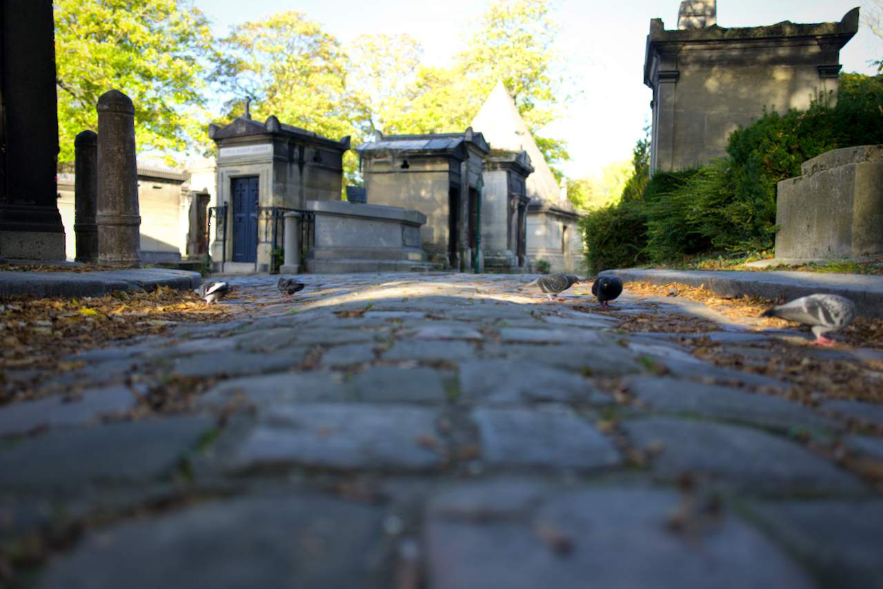 Bild ohne Beschreibung