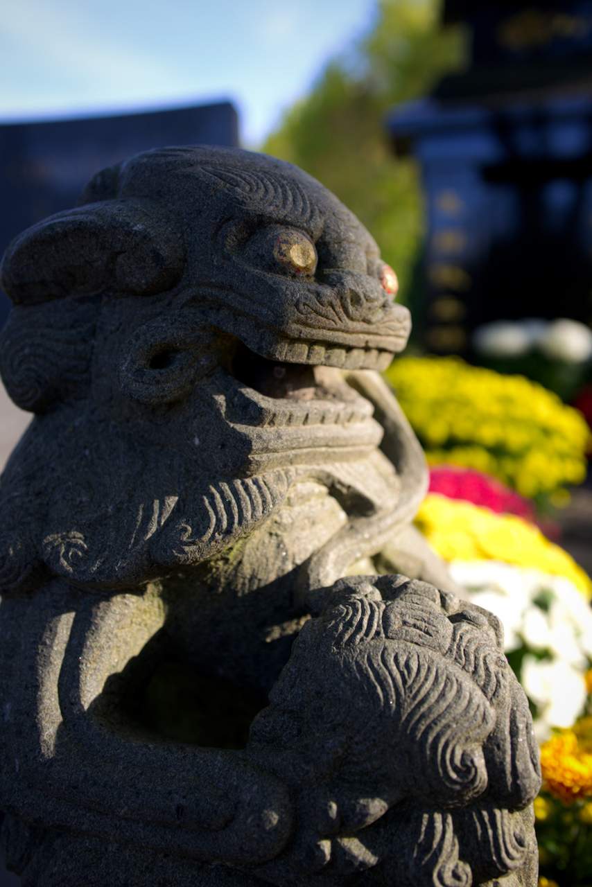 Bild ohne Beschreibung