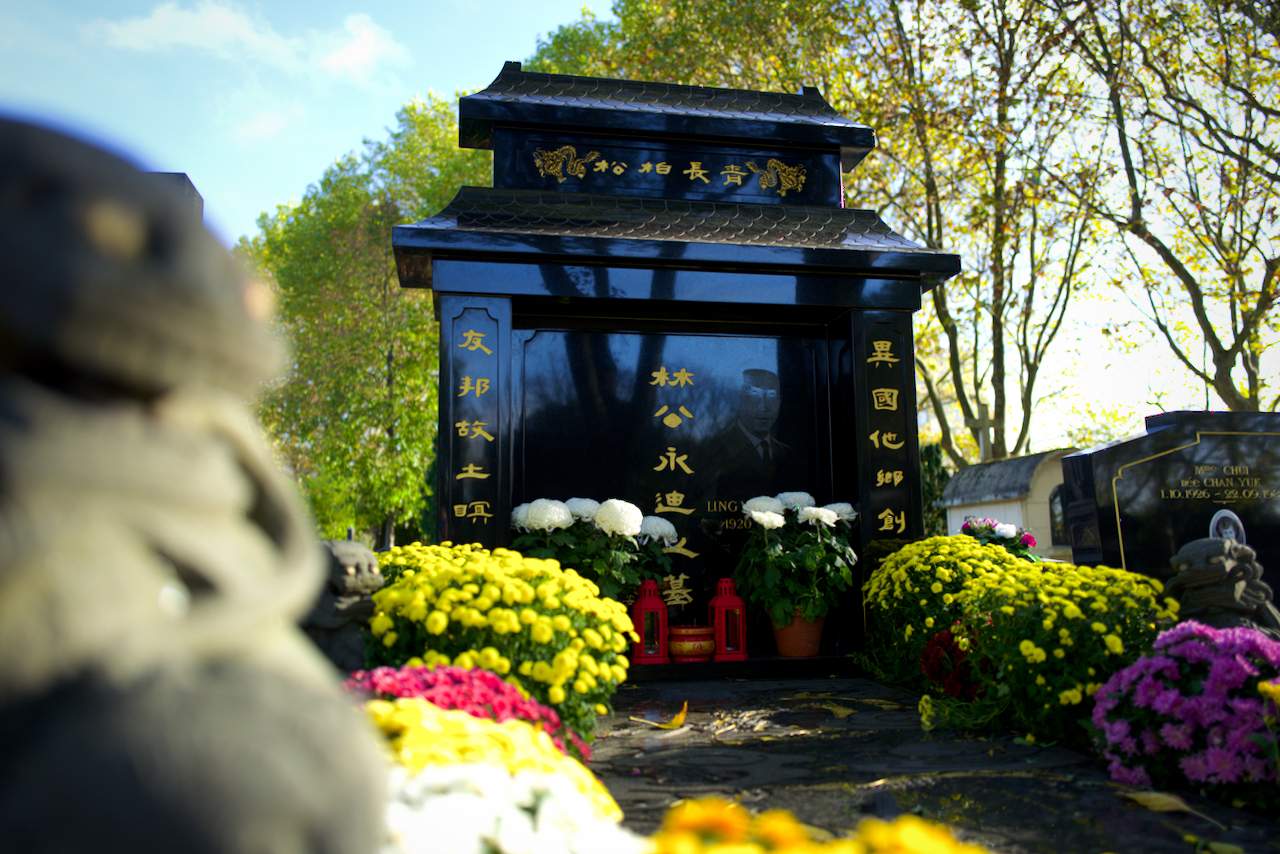 Bild ohne Beschreibung